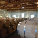 Private tour and visits on the Medoc Castle Route (Luxury Minivan) - The Route of Elegance: Visiting Bordeaux’s Renowned Vineyards