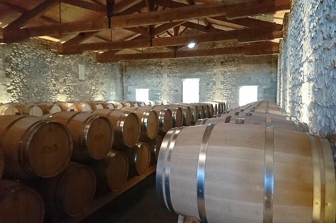 Private tour and visits on the Medoc Castle Route (Luxury Minivan) - The Route of Elegance: Visiting Bordeaux’s Renowned Vineyards