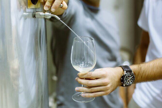 Private Tour at a Family Winery and Basque Coast Route - What Makes This Tour Stand Out?
