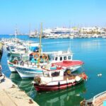 Private Tour at the Palace of Knossos and Museum in Crete - Who Should Book This Tour?