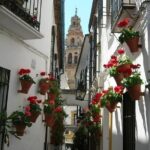 Private Tour: Cordoba Walking Tour with Skip-the-line Tickets - Practical Details and Value