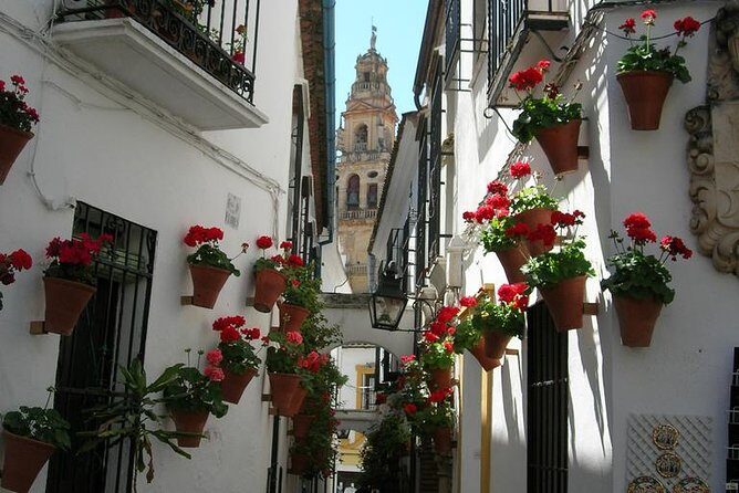 Private Tour: Cordoba Walking Tour with Skip-the-line Tickets - Practical Details and Value