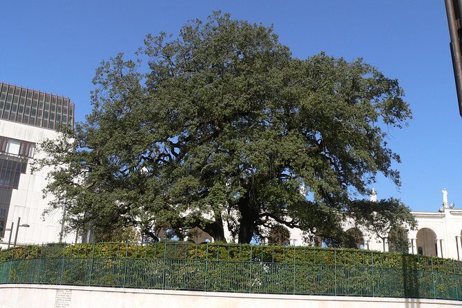 Private Tour From Lisbon: Fátima Sanctuary and Batalha Monastery - Price and Value: Is It Worth It?