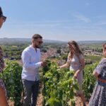 Private tour: Full Day Veuve Clicquot to Reims or Epernay region - Final Thoughts