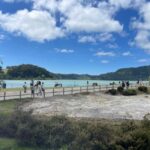 Private Tour Furnas: Furnas Lake Hike & Terra Nostra Park - Authentic Experiences and Authentic Guides