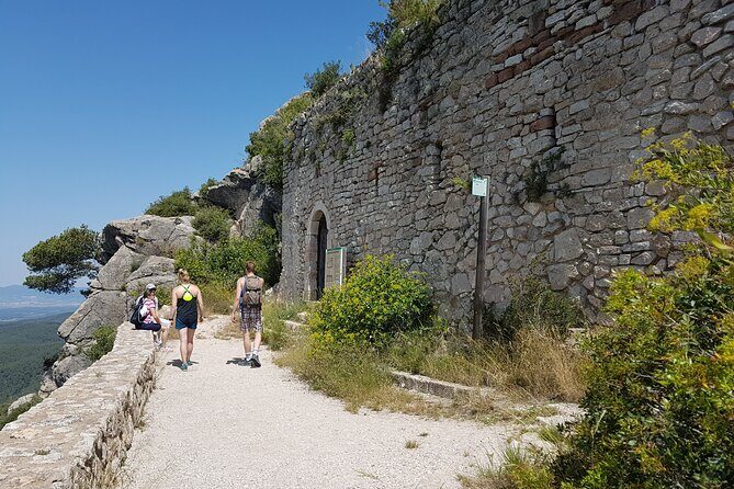 Private Tour - Hike and wine tasting at the Penedés - Who Should Consider This Tour?