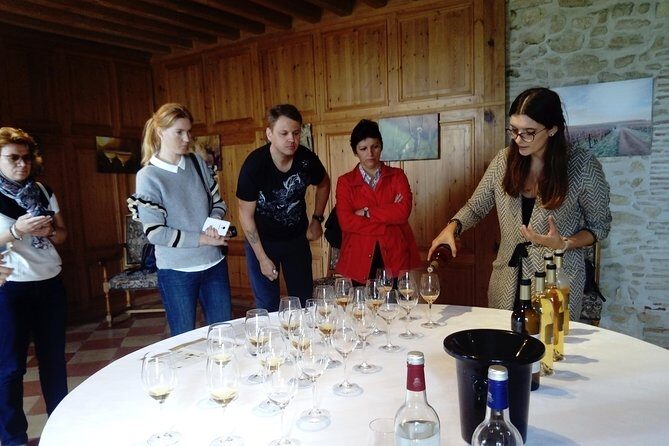 Private tour in the Sauternes wine region - discover Bordeaux sweet Crus Classés - A Detailed Look at the Sauternes Private Tour