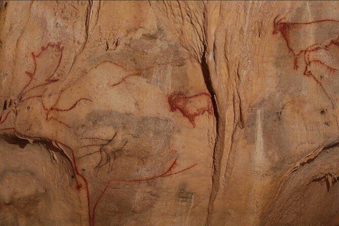 Private Tour into an Original Prehistoric Cave by EXPLOREO SARLAT - Final Thoughts: Is This Tour Right for You?