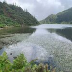 Private Tour: Lagoa do Fogo Hike & South Coast - Who Will Love This Tour?