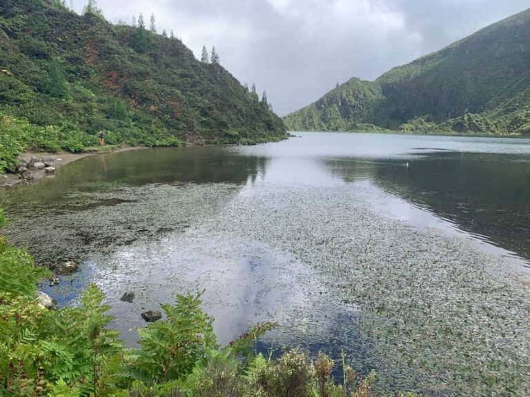 Private Tour: Lagoa do Fogo Hike & South Coast - Who Will Love This Tour?