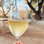 Private Tour & Lunch Of Underground Winery & Countryside Estate - Who Will Love This Tour?