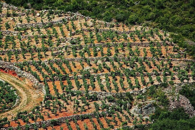 Private Tour: Mali Ston Day Trip with Oyster Tasting from Dubrovnik - Practical Considerations