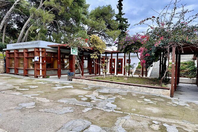 Private Tour of Knossos, Archaeological Museum & Heraklion Town - Transportation & Comfort