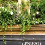Private Tour of Saint Germain des Pres - The Experience in Context