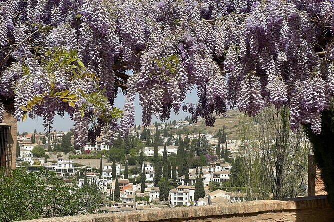 Private Tour of the Alhambra in Granada (includes tickets) - FAQ Section