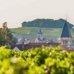 Private tour of the Champagne area, meet local producers and taste their Champagne, start from your hotel in Paris. - What Travelers Are Saying: Authentic Opinions