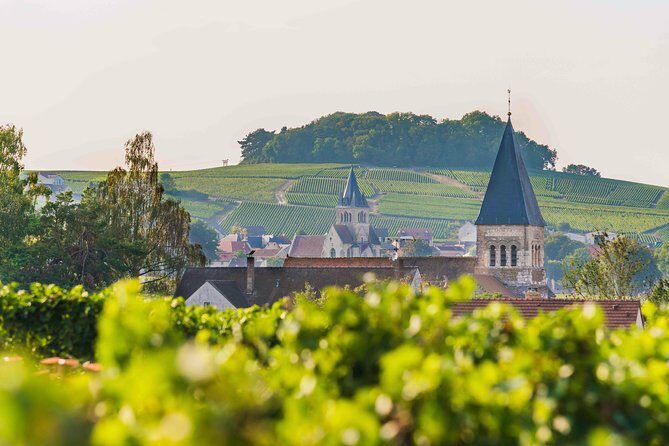 Private tour of the Champagne area, meet local producers and taste their Champagne, start from your hotel in Paris. - What Travelers Are Saying: Authentic Opinions