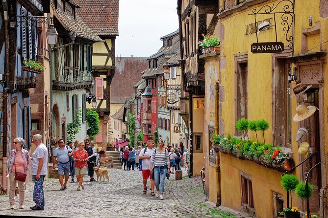 Private Tour: Picturesque Alsatian Villages & Wine Tasting with a local expert - Why This Tour Offers Value