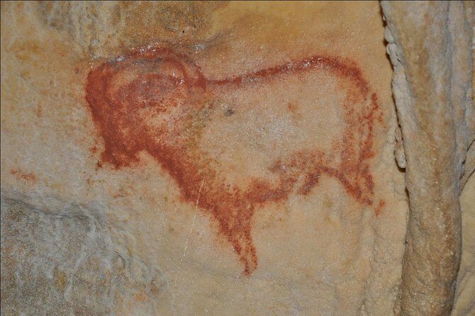 Private Tour : Prehistoric Cave and Castle by EXPLOREO SARLAT - Who Should Consider This Tour?