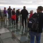 Private Tour: Regional Road Drive with Stunning Views and Poncha Drink Tasting - Who Will Love This Tour?