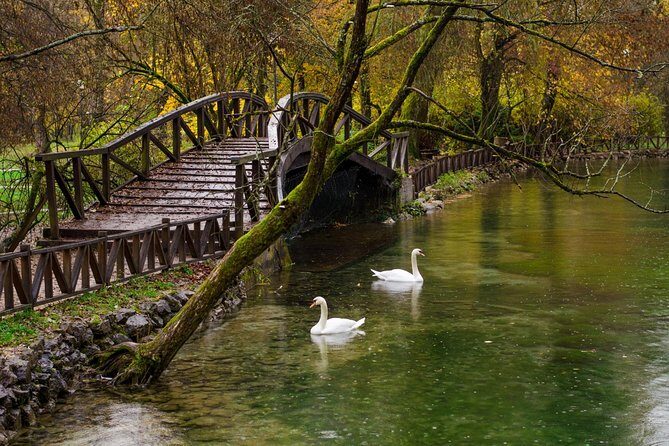Private Tour: Sarajevo Day Trip from Dubrovnik - The Journey Begins: From Dubrovnik to Bosnia