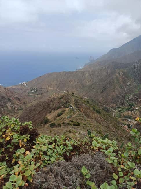 Private Tour Tenerife: Anaga, Taganana, Benijo & La laguna - Exploring Tenerife Beyond the Beaches