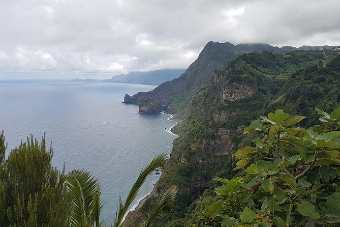 Private Tour The Biosphere Santana - Authentic Experiences and Highlighted Reviews