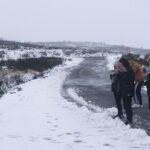 Private Tour through Serra da Estrela Park and its famous cheese - Frequently Asked Questions