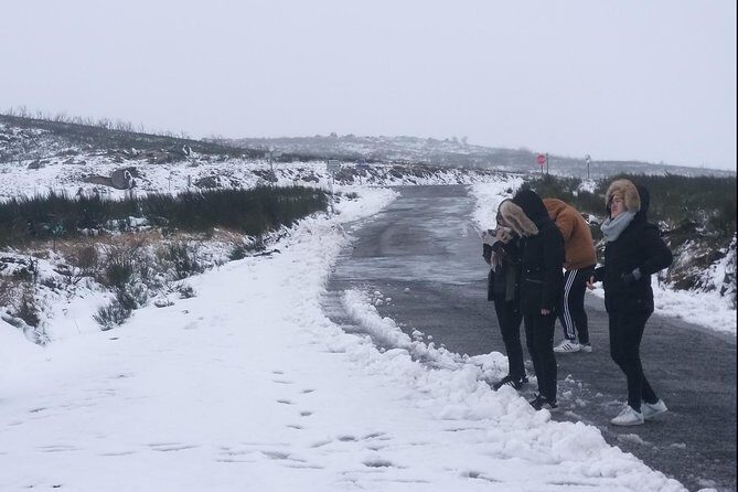 Private Tour through Serra da Estrela Park and its famous cheese - Frequently Asked Questions