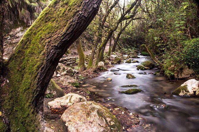 Private Tour to Arcos de la frontera, El Bosque and Ubrique from Cadiz - Who Should Book This Tour?