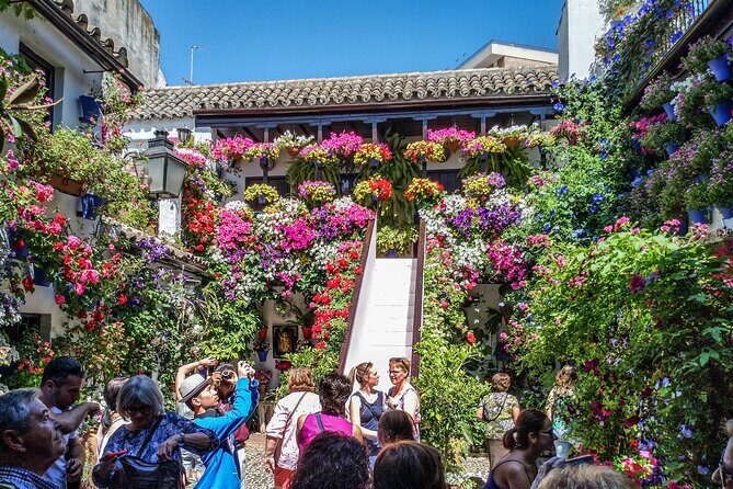 Private tour to Córdoba from Seville (several options) - Why This Tour Offers Great Value