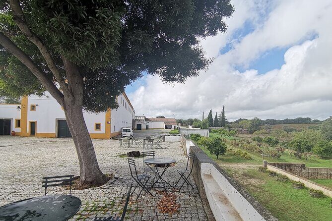 Private Tour to Evora with wine tasting at the Cartuxa Winery - Why This Tour Works