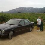 Private tour to marvelous Setúbal, the pearl of Sado - What Travelers Say
