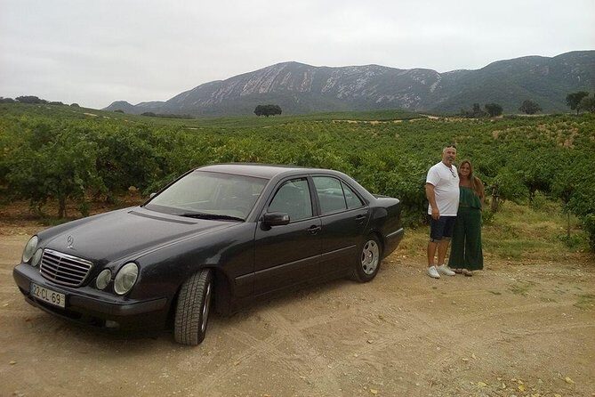 Private tour to marvelous Setúbal, the pearl of Sado - What Travelers Say