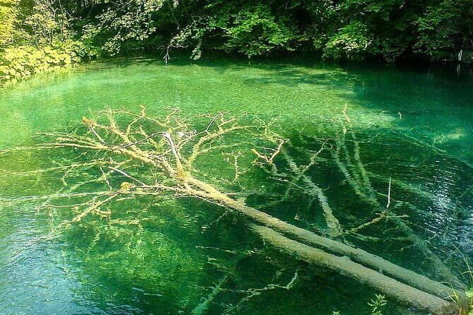 Private Tour to Plitvice Lakes from Zagreb - Exploring the Lower Lakes (Entrance 1)
