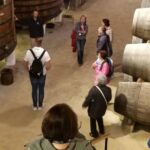 Private Tour to stunning Douro Valley and most renowned wineries - A Deeper Look at the Douro Valley Private Tour