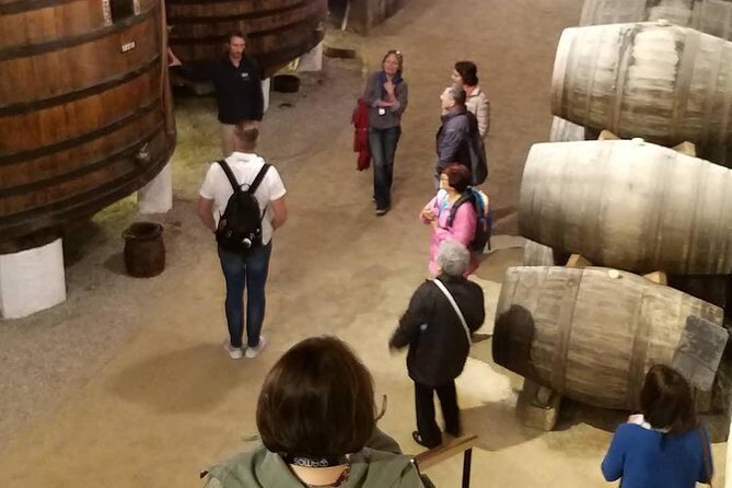 Private Tour to stunning Douro Valley and most renowned wineries - A Deeper Look at the Douro Valley Private Tour