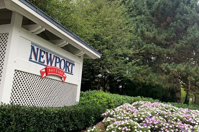 Private Transfer from Airport to Disneyland Paris or Vice Versa - Detailed Review of the Private Transfer Experience