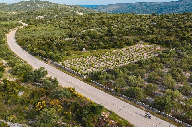 Private Transfer from Makarska to Split Airport - Who Is This Transfer Best For?