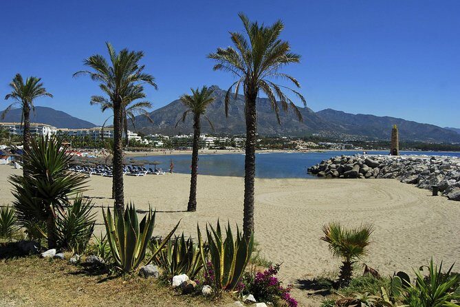 Private Transfer from Malaga airport (AGP) to Fuengirola - The Vehicle and Comfort