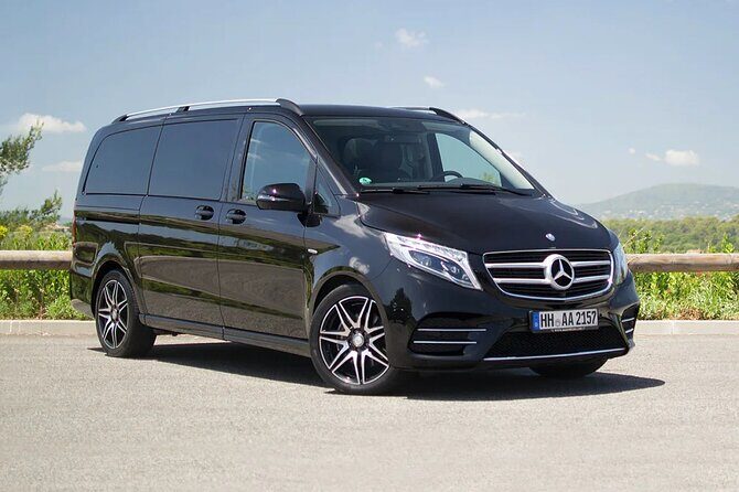 Private Transfer from Paris City to Disneyland Paris by MiniVan - Who Will Love This Service?