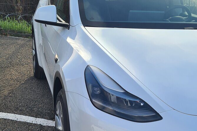 Private Transfer: Orly Airport  Paris - What Makes This Transfer Stand Out