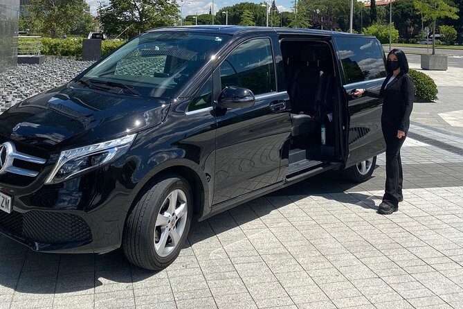 Private transfer to Disney - Who Should Consider This Service?