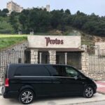 Private Transportation to Ribera del Duero by Minivan - FAQ — Practical Questions About the Tour