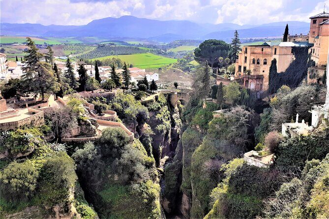 Private trip to Ronda from Costa del Sol - Authentic Insights from Fellow Travelers