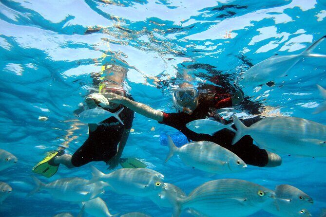 Private trips to Lobos Island in Catamaran Lagoon 421 - Practical Tips for Your Trip