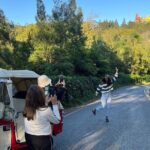Private Tuk Tuk Tour of Sintra and Beaches in 2.5h - FAQ