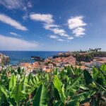Private Tuk Tuk Tour on Câmara de Lobos, Fishing Village - FAQ