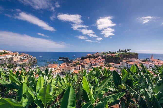 Private Tuk Tuk Tour on Câmara de Lobos, Fishing Village - FAQ