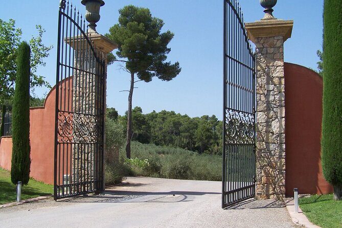 Private Vineyard Tour of Provence from Nice - FAQ